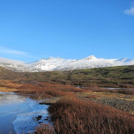 Brekka I Loni Farm Stay Stafafell Εξωτερικό φωτογραφία